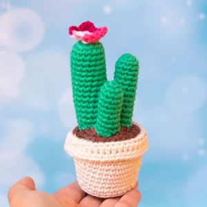 Mini columnar cactus