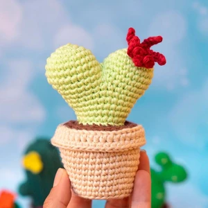 Heart cactus