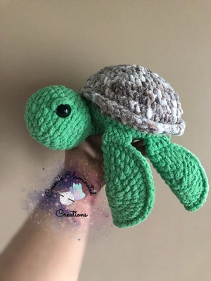 Tate the Turt