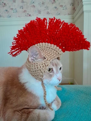 Cat Roman Helmet