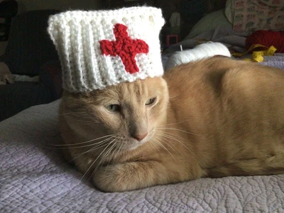 Cat Nurse Hat