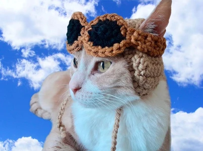 Cat Pilot Helmet
