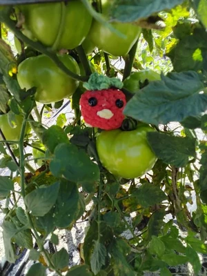 Tomato duck pattren cute and super quick