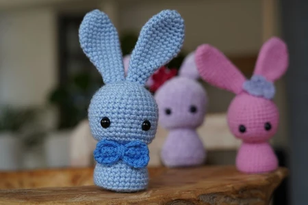Loopie the Bunny