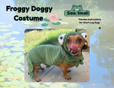 Froggy Doggy - Small Dog Costume