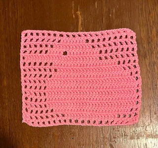 Kiwi Bird Dishcloth