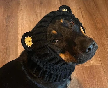 Bear Dog Snood