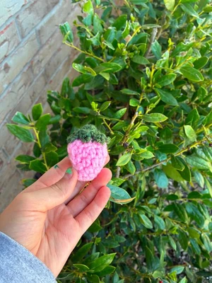 Cute Strawberry