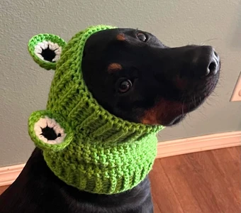 Frog Dog Snood Cowl