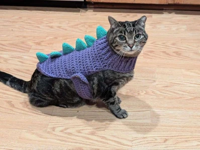 Cat/Small Dog Dinosaur Sweater