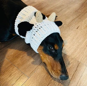 Cow Dog Snood Cowl