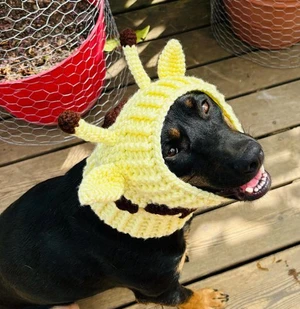 Giraffe Dog Snood Cowl