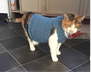 Cat Sweater