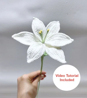 Lily Pattern