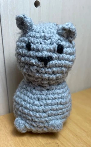 Cute easy no sew cat