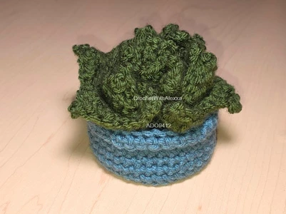 Succulent Coasters