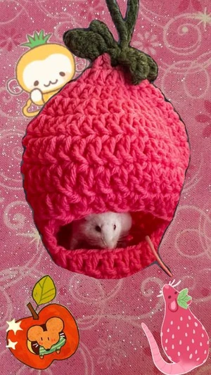 Fruit mouse/dwarf hamster hanging hammock hide
