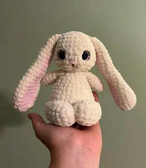 Lop-Eared Bunny