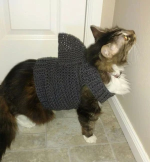 Shark Cat Sweater