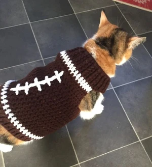 Football Cat Sweater