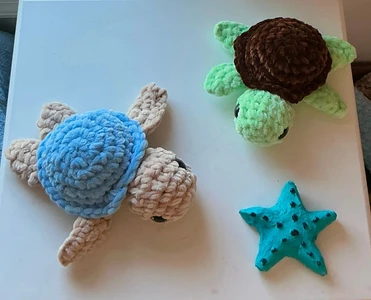 Cute turtle