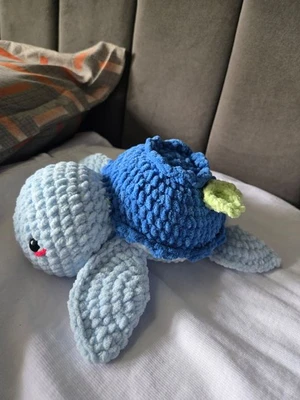Blueberry turtle