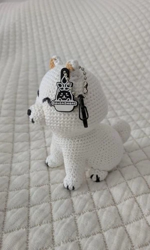 Shiba Inu - Cream