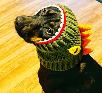 T-Rex Dinosaur Dog Snood Cowl