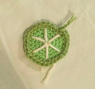 Lime and Lime Slice