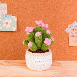 Blooming Cactus Pot Crochet Pattern