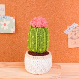 Cactus Pot Crochet Pattern