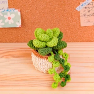 Succulent Pot Crochet Pattern