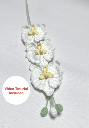 Moth Orchid Flower Pattern