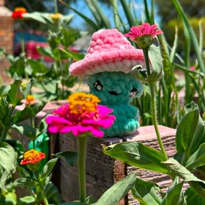 Mushroom frog pop up fidget plush