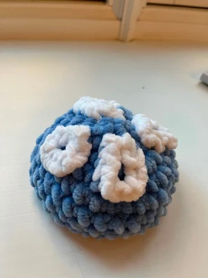 Moon jellyfish