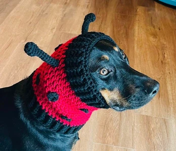 Ladybug Dog Snood Cowl