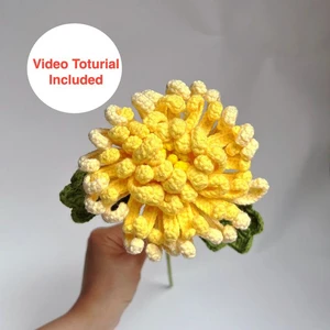 Chrysanthemum Flower Pattern