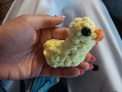 Tiny Ducky