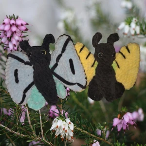 Stella the Swallowtail butterfly