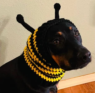 Bumble Bee Dog Snood Cowl