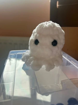Baby octopus