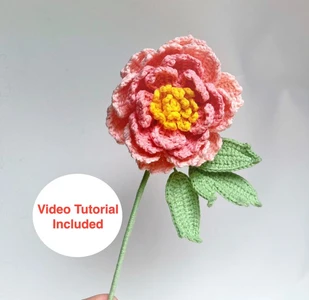 Peony Flower