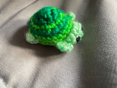 Mini Turtle