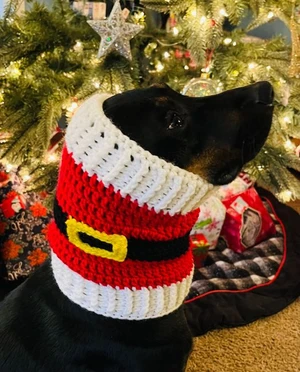Santa Claus Dog Snood Cowl