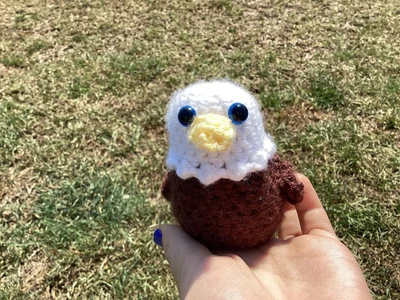 Merica the Bald Eagle