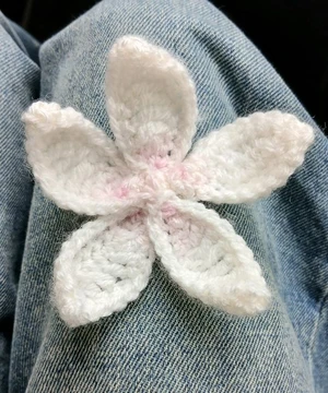 Frangipani Flower