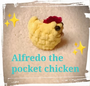 Alfredo the pocket chicken