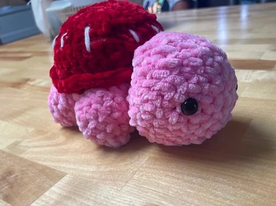 Turtle!!!