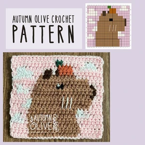 cloudy capybara colorwork graph
