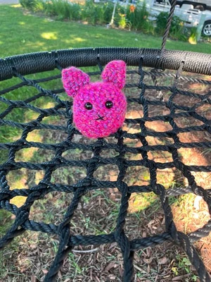 Pom the cat